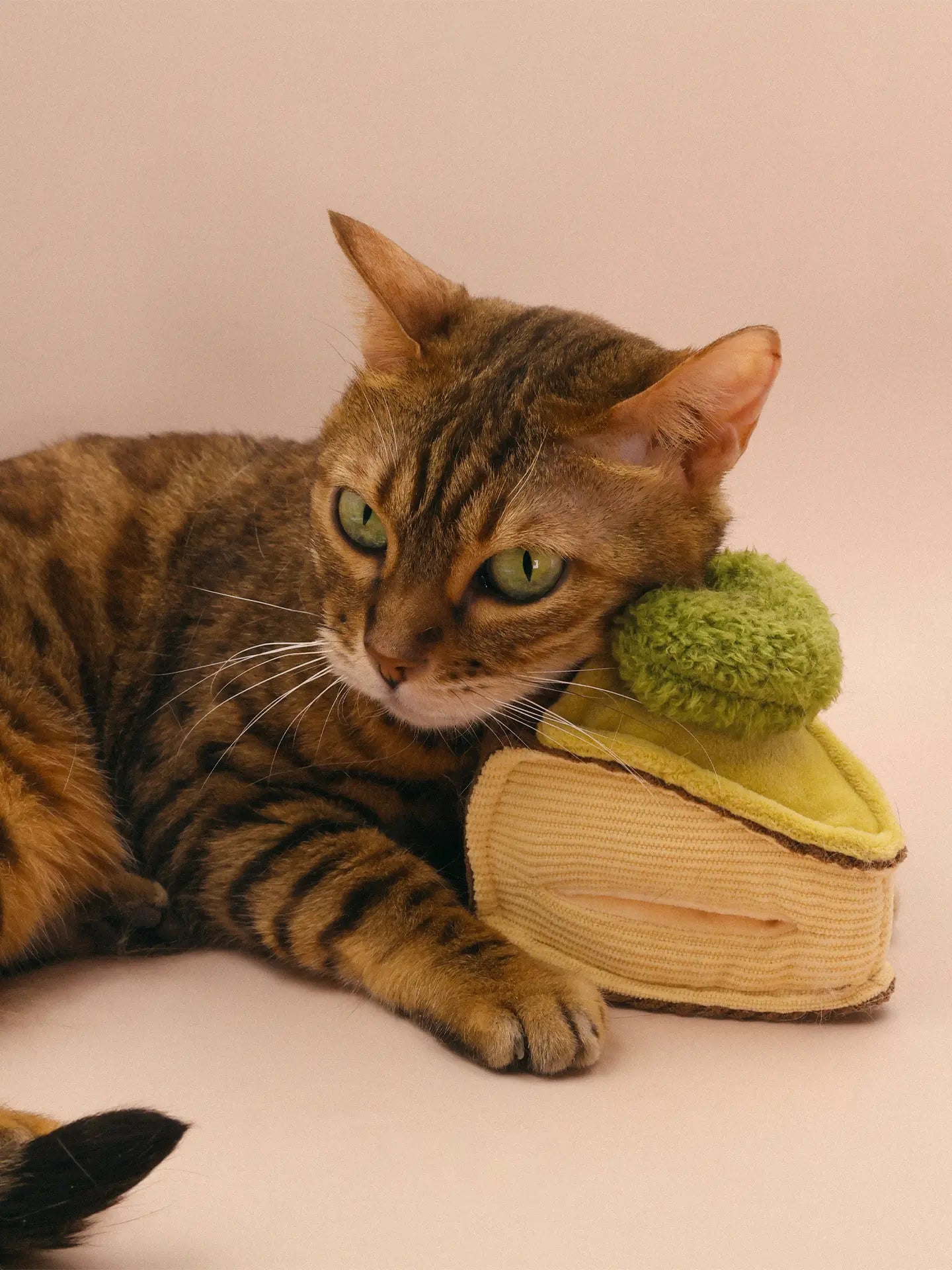 𝑺𝒘𝒆𝒆𝒕𝑯𝒆𝒂𝒓𝒕 | Love Basque