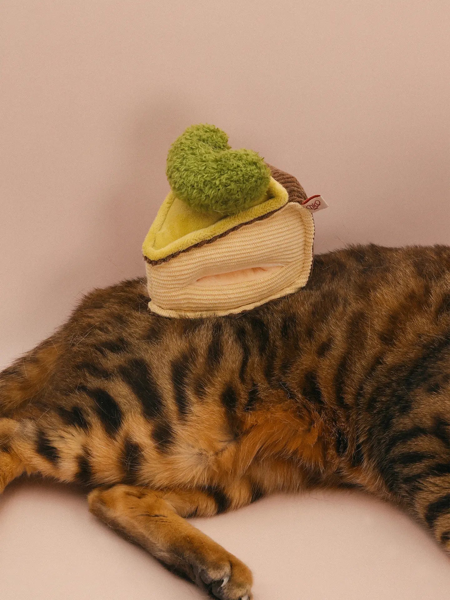 𝑺𝒘𝒆𝒆𝒕𝑯𝒆𝒂𝒓𝒕 | Love Basque