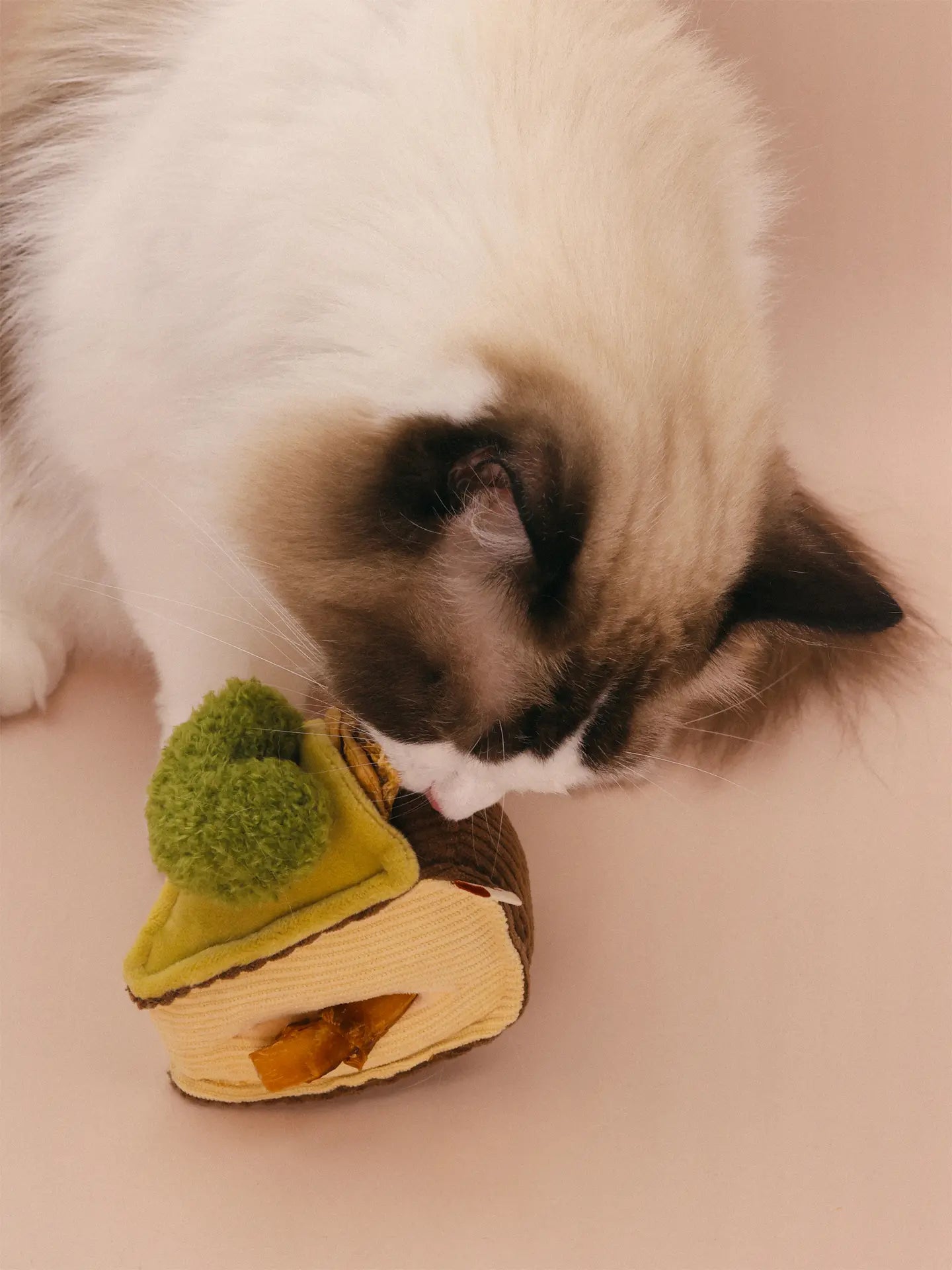 𝑺𝒘𝒆𝒆𝒕𝑯𝒆𝒂𝒓𝒕 | Love Basque