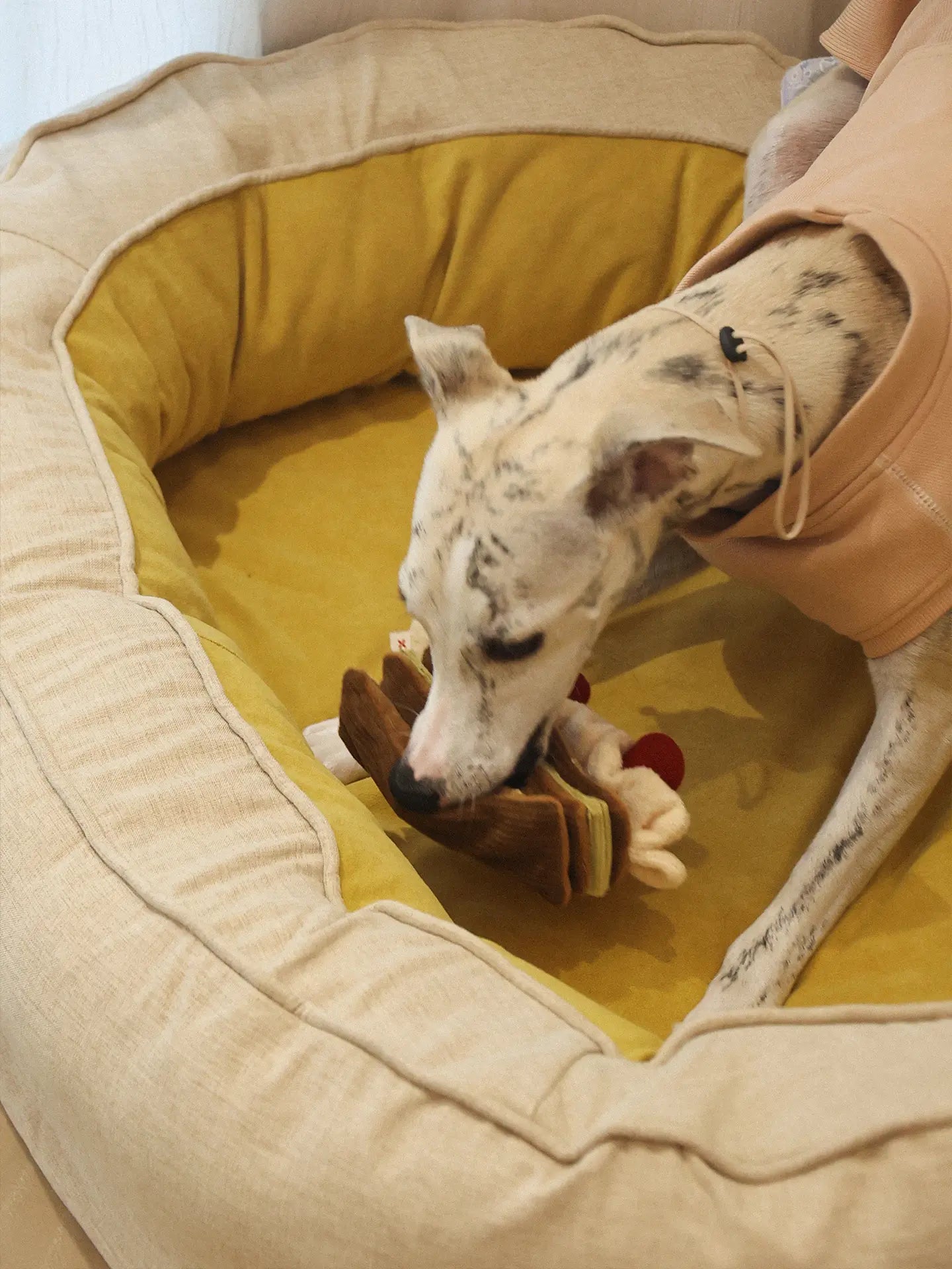 𝑺𝒘𝒆𝒆𝒕𝑯𝒆𝒂𝒓𝒕 | Love Mille-feuille