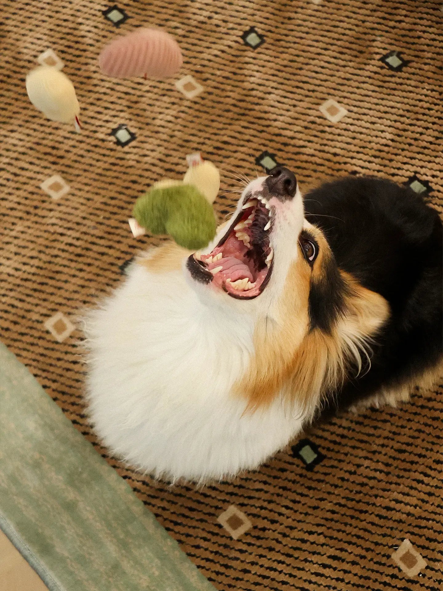 𝑺𝒘𝒆𝒆𝒕𝑯𝒆𝒂𝒓𝒕 | Love Puff