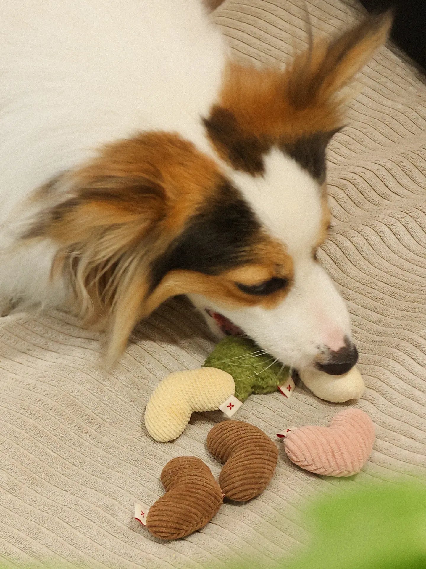 𝑺𝒘𝒆𝒆𝒕𝑯𝒆𝒂𝒓𝒕 | Love Puff