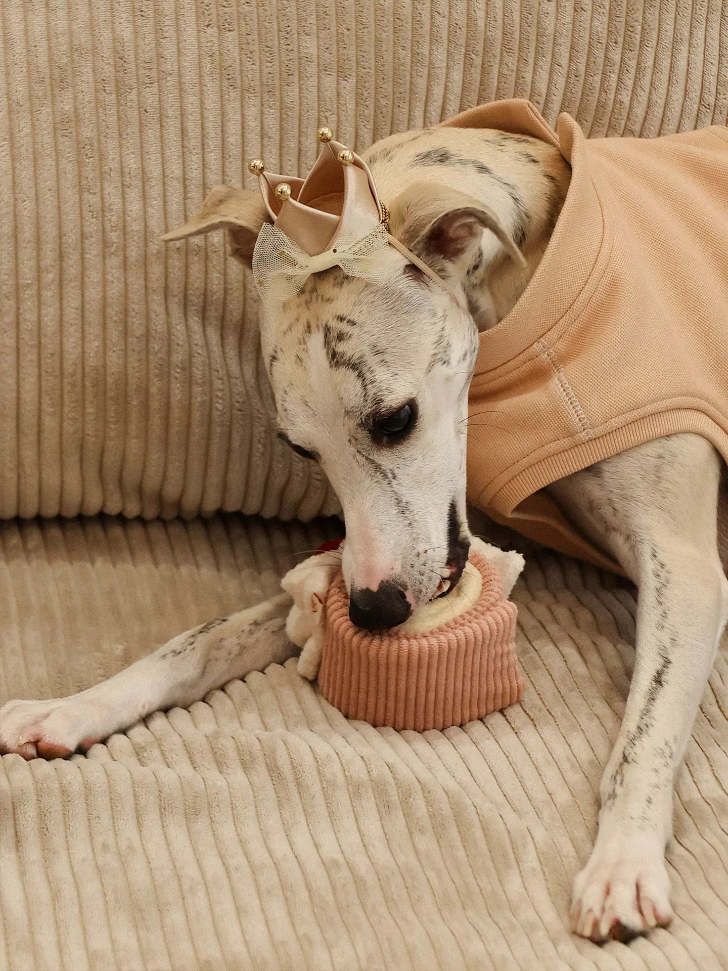 𝑺𝒘𝒆𝒆𝒕𝑯𝒆𝒂𝒓𝒕 | Love Swiss Roll