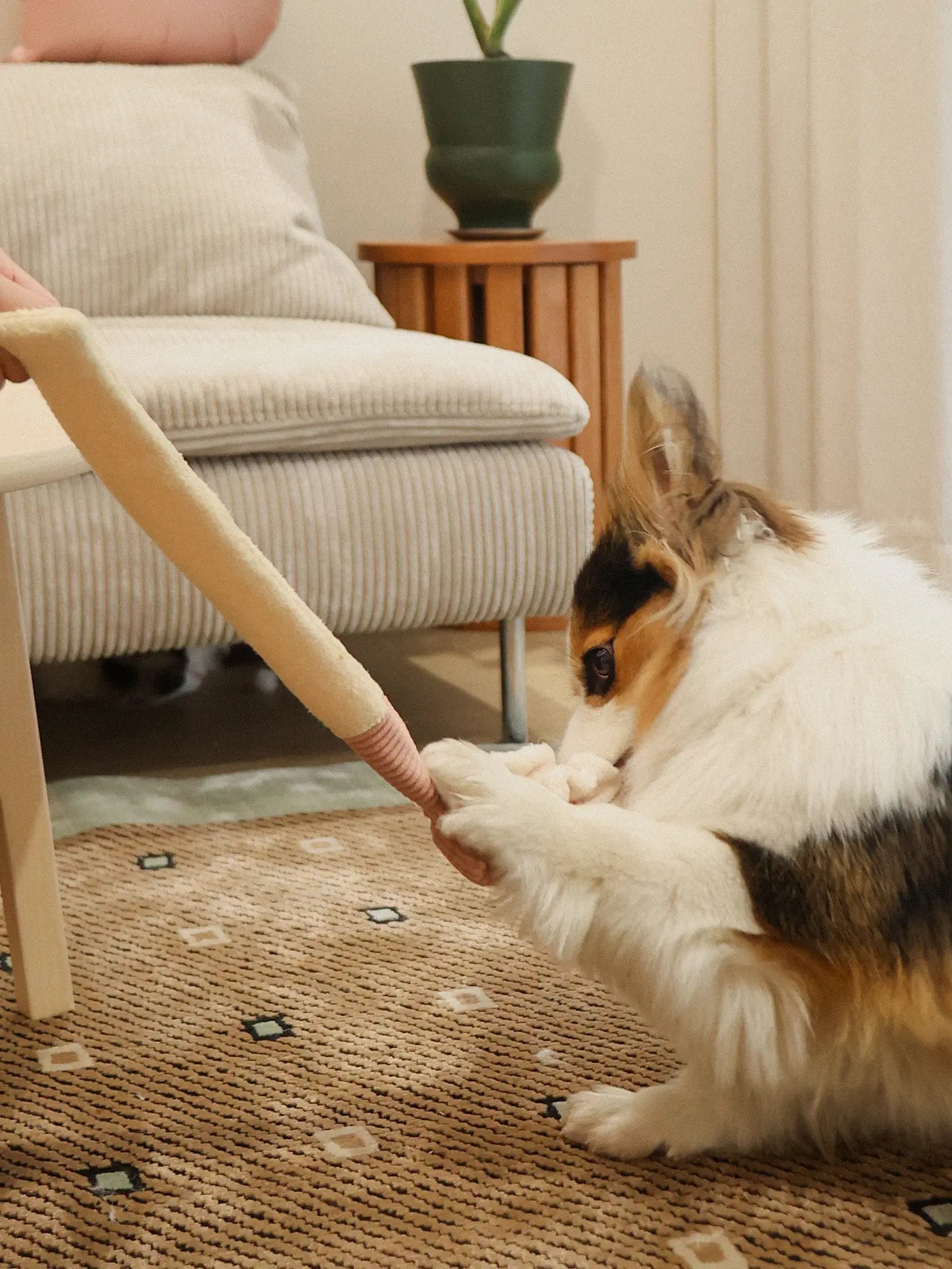 𝑺𝒘𝒆𝒆𝒕𝑯𝒆𝒂𝒓𝒕 | Love Swiss Roll